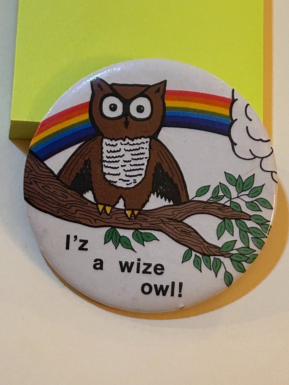 Vintage 1980s I'z A Wize Owl Rainbow Round Pinback Button Pin Badge